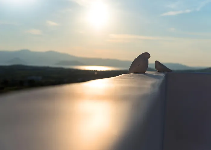 Seven Glinádo Náxu